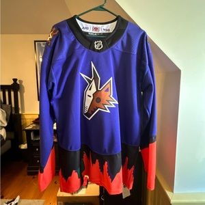 Arizona Coyotes Reverse Retro Jersey